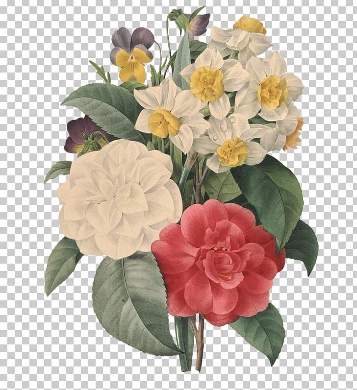 Flowers Choix Des Plus Belles Fleurs Illustration Art Printmaking PNG, Clipart, Annual Plant, Art, Artist, Botanical Art, Botany Free PNG Download