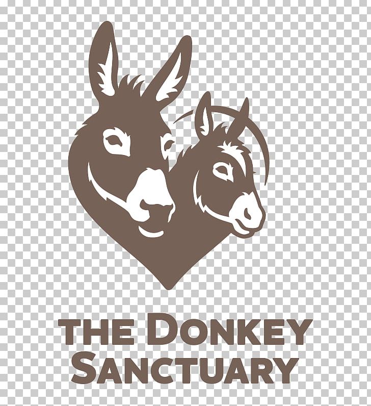 The Donkey Sanctuary Animal Sanctuary Mule Sidmouth PNG, Clipart, Animal, Animals, Animal Sanctuary, Animal Welfare, Brand Free PNG Download