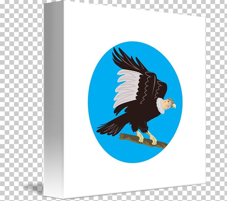Bald Eagle Art PNG, Clipart, Andean Condor, Art, Bald Eagle, Beak, Bird Free PNG Download