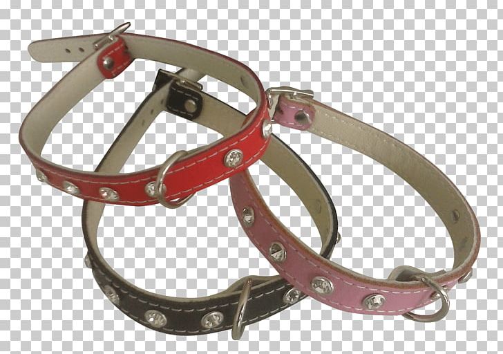 Belt Dog Collar Strap PNG, Clipart, Belt, Clothing, Collar, Dog, Dog Collar Free PNG Download