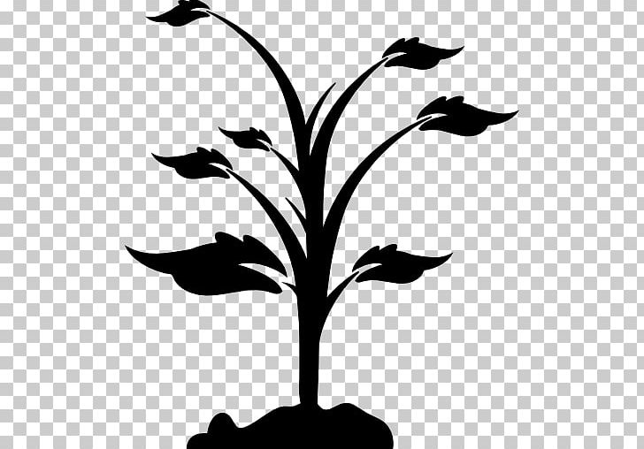 Computer Icons Tree PNG, Clipart, Black And White, Branch, Computer Icons, Download, Encapsulated Postscript Free PNG Download