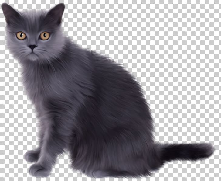 Persian Cat Norwegian Forest Cat Traditional Persian Siamese Cat Kitten PNG, Clipart, Animals, Art, Asian Semi Longhair, Black Cat, Carnivoran Free PNG Download