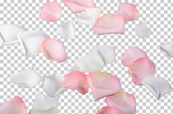 Petal Leaf Flower PNG, Clipart, Crea, Creative Background, Creative Graphics, Creative Rose Petals, Encapsulated Postscript Free PNG Download