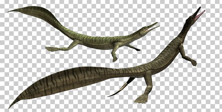 Velociraptor 3D Modeling Plesiosaurus 3D Computer Graphics Dinosaur PNG, Clipart, 3d Computer Graphics, 3d Modeling, Animal Figure, Cgtrader, Computer Graphics Free PNG Download