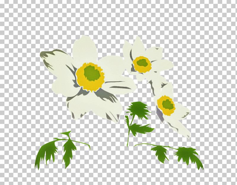Floral Design PNG, Clipart, Cartoon, Chrysanthemum, Floral Design, Flower, Oxeye Daisy Free PNG Download