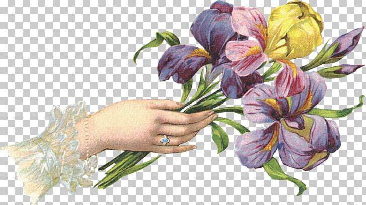 Cut Flowers Floral Design PNG, Clipart, Ansichtkaart, Blog, Crocus, Cut Flowers, Diary Free PNG Download