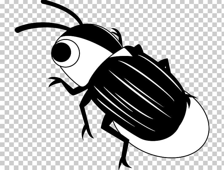 Firefly Insect Illustration PNG, Clipart, Arthropod, Artwork, Beetle, Black And White, Blog Free PNG Download