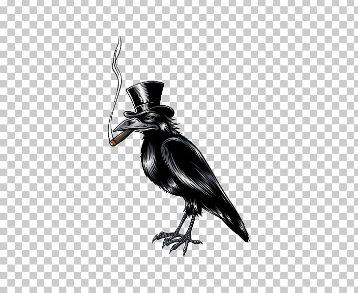Bird Crow PNG, Clipart, Animal, Animals, Beak, Bird, Black And White Free PNG Download