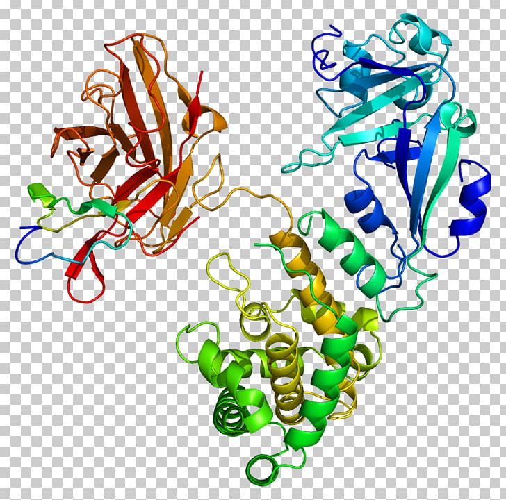 Epidermal Growth Factor Receptor Heparin-binding EGF-like Growth Factor Protein PNG, Clipart, Art, Artwork, Cell, Cell Membrane, Egflike Domain Free PNG Download