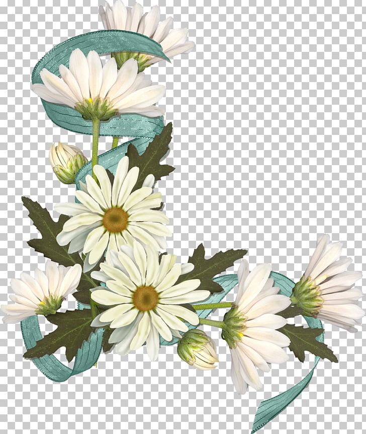 Matricaria PNG, Clipart, Aster, Chamomile, Chrysanths, Cut Flowers, Daisy Free PNG Download