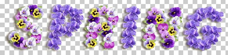 Sweet Violet Viola Sororia Color Spring PNG, Clipart, Body Jewelry, Clipart, Color, Easter, Flower Free PNG Download