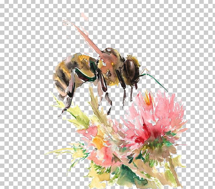 Bee Watercolor: Flowers Watercolor Painting Drawing PNG, Clipart, Bee Brood, Bumblebee, Cartoon, Color, Flower Free PNG Download