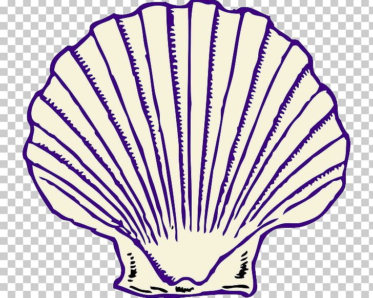 Clam Seashell PNG, Clipart, Animals, Area, Artwork, Clam, Color Free PNG Download