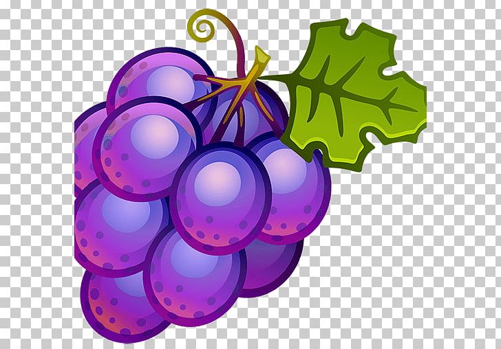 Common Grape Vine Wine Fruit PNG, Clipart, Apple, Banana, Berry, Christmas Ornament, Circle Free PNG Download