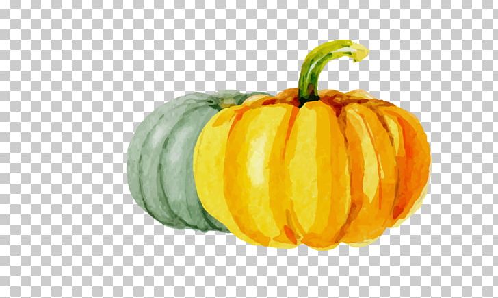 Calabaza Kabocha Pumpkin Halloween PNG, Clipart, Attributed, Cuc, Drawing Vector, Encapsulated Postscript, Food Free PNG Download