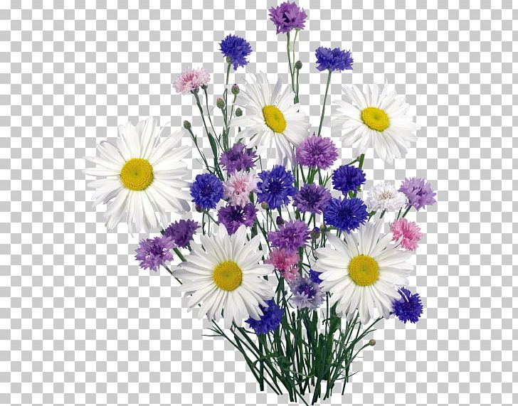 German Chamomile Common Daisy PNG, Clipart, Annual Plant, Artificial Flower, Chamomile, Daisy Family, Flower Free PNG Download
