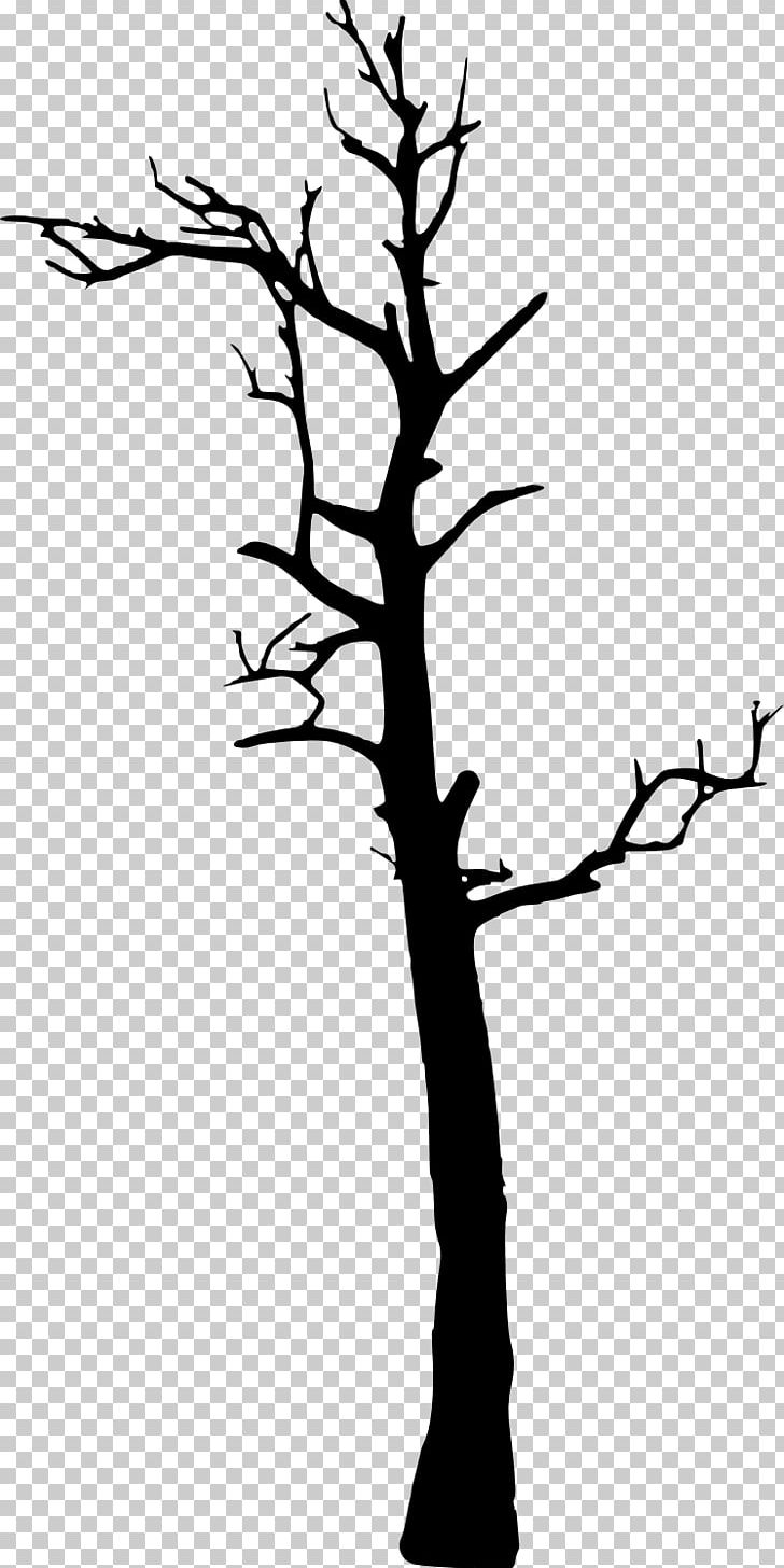 Tree Woody Plant PNG, Clipart, Black And White, Branch, Dead Tree, Flower, Flowering Plant Free PNG Download