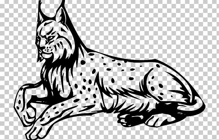 Wildcat Whiskers PNG, Clipart, Art, Big Cats, Black, Carnivoran, Cat Like Mammal Free PNG Download