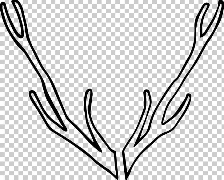 Black And White Line Art Monochrome Photography Twig PNG, Clipart, Antler, Arm, Art, Artwork, Beak Free PNG Download