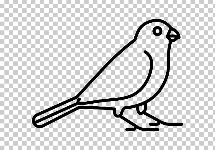 Computer Icons PNG, Clipart, Animal, Animals, Artwork, Beak, Bird Free PNG Download