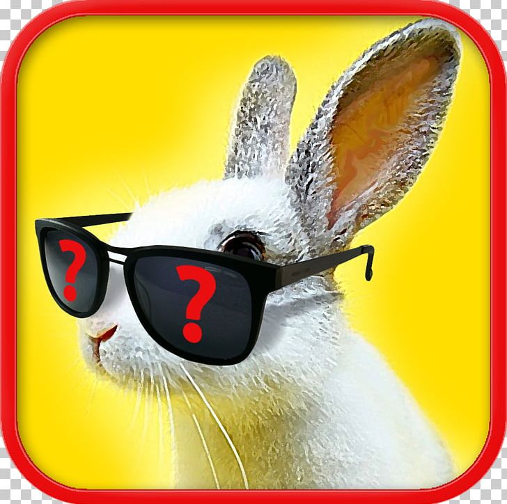 Domestic Rabbit Easter Bunny Glasses Hare PNG, Clipart, Alexandr, Brain, Doesnt, Domestic Rabbit, Easter Free PNG Download