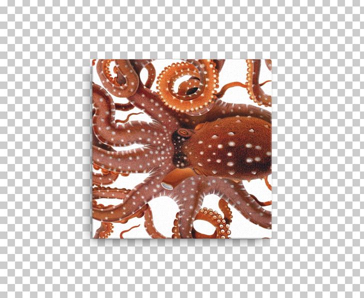 Octopus Squid Drawing Cephalopod PNG, Clipart, Art, Biological Illustration, Botanical Illustration, Canvas Print, Cephalopod Free PNG Download