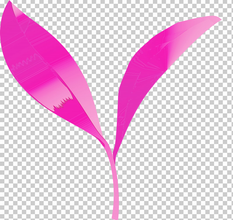 Feather PNG, Clipart, Feather, Flower, Leaf, Magenta, Material Property Free PNG Download