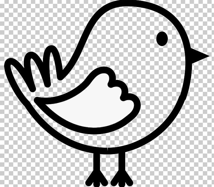 Bird Stick Figure Gulls PNG, Clipart, Animal, Animals, Artwork, Beak, Bird  Free PNG Download