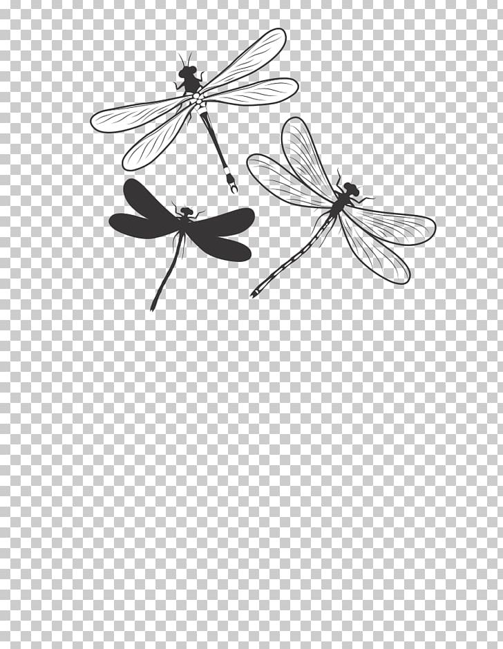 Insect Butterfly Pollinator Monochrome Photography Black And White PNG, Clipart, Animal, Animals, Arthropod, Black, Black And White Free PNG Download