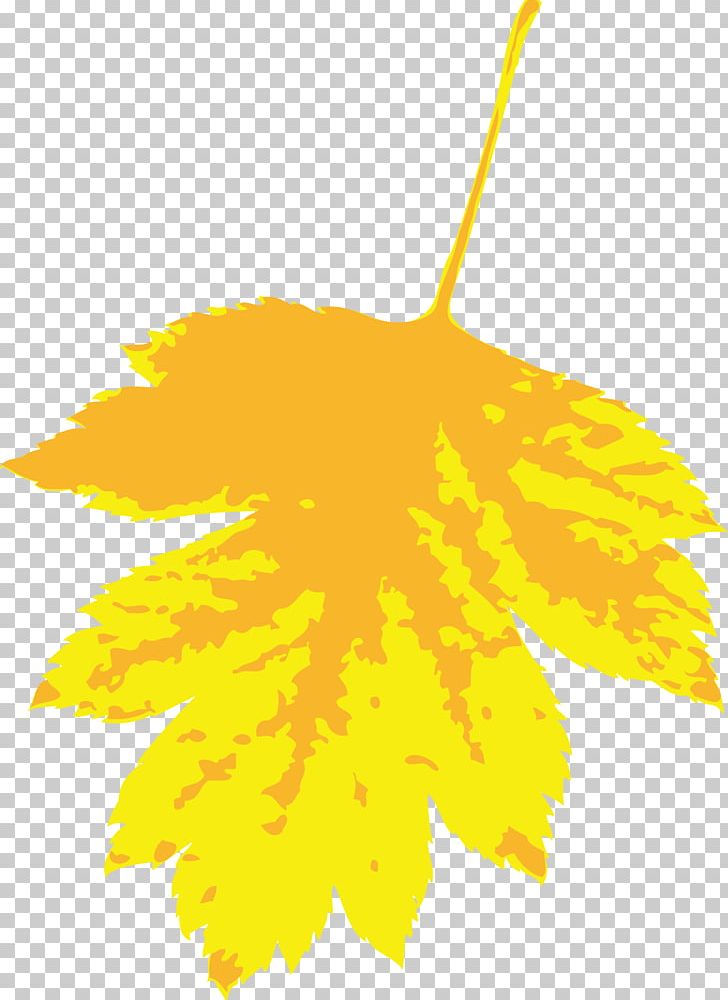 Maple Leaf Yellow Illustration PNG, Clipart, Autumn Leaves, Banana Leaves, Decoration, Diagram, Download Free PNG Download
