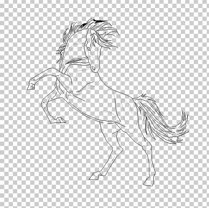 Mustang Stallion Pack Animal Drawing Sketch PNG, Clipart, Arm, Carnivora, Carnivoran, Fictional Character, Figure Drawing Free PNG Download
