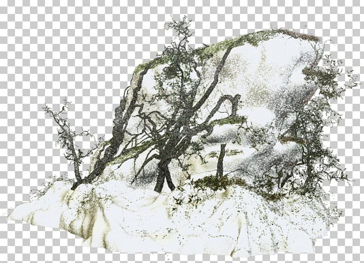 Winter Snow PNG, Clipart, Adobe Illustrator, Albom, Blog, Branch, Branches Free PNG Download