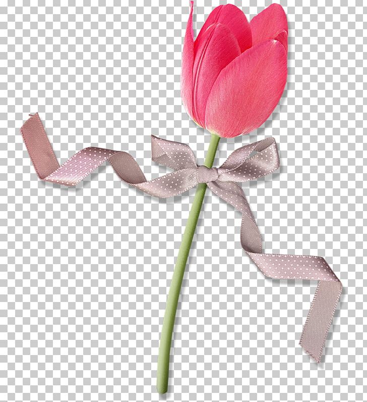 Garden Roses Cut Flowers Tulip Petal PNG, Clipart, Artificial Flower, Cut Flowers, Decorative, Flower, Flowering Plant Free PNG Download