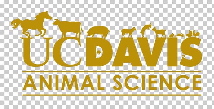 UC Davis Animal Science Horse Barn UC Davis Department Of Animal Science Research PNG, Clipart, Animal, Animals, Animal Science, Area, Brand Free PNG Download