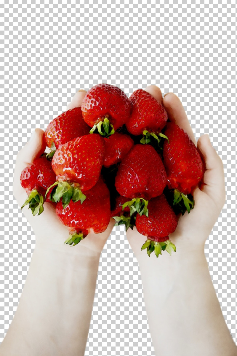 Strawberry PNG, Clipart, Berry, Fruit, Hm, Natural Food, Paint Free PNG Download