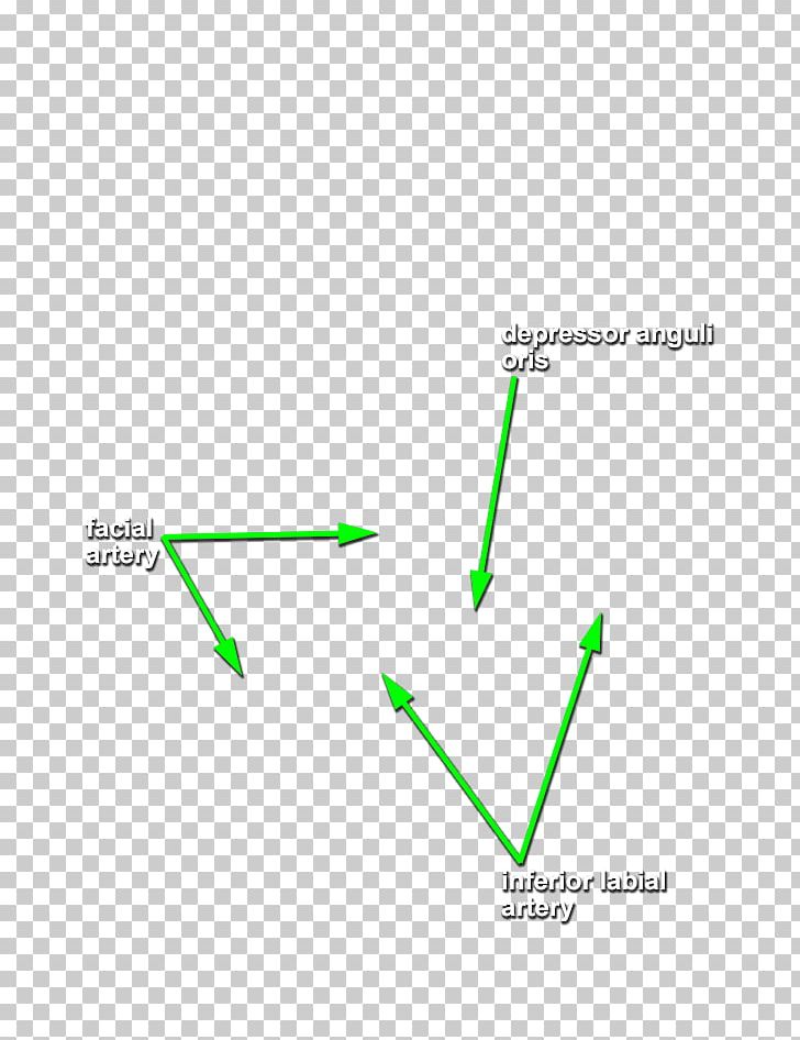 Line Point Angle Diagram PNG, Clipart, Angle, Area, Art, Diagram, Grass Free PNG Download
