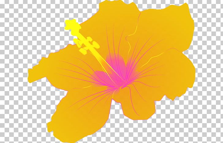 Roselle Common Hibiscus Hawaiian Hibiscus PNG, Clipart, Alyogyne Huegelii, Common Hibiscus, Drawing, Flower, Flowering Plant Free PNG Download