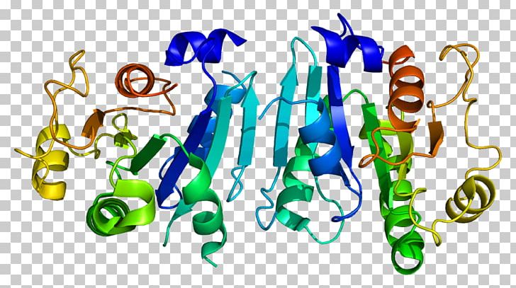 SAR1B SAR1A Protein GTPase ADP Ribosylation Factor PNG, Clipart, Adp Ribosylation Factor, Area, Artwork, Binding Site, Biological Membrane Free PNG Download