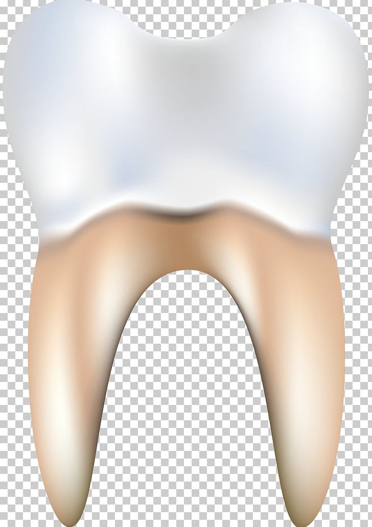 Tooth Dentistry Euclidean PNG, Clipart, Baby Teeth, Bubble Gum, Chewing Gum, Dentist, Dentistry Free PNG Download