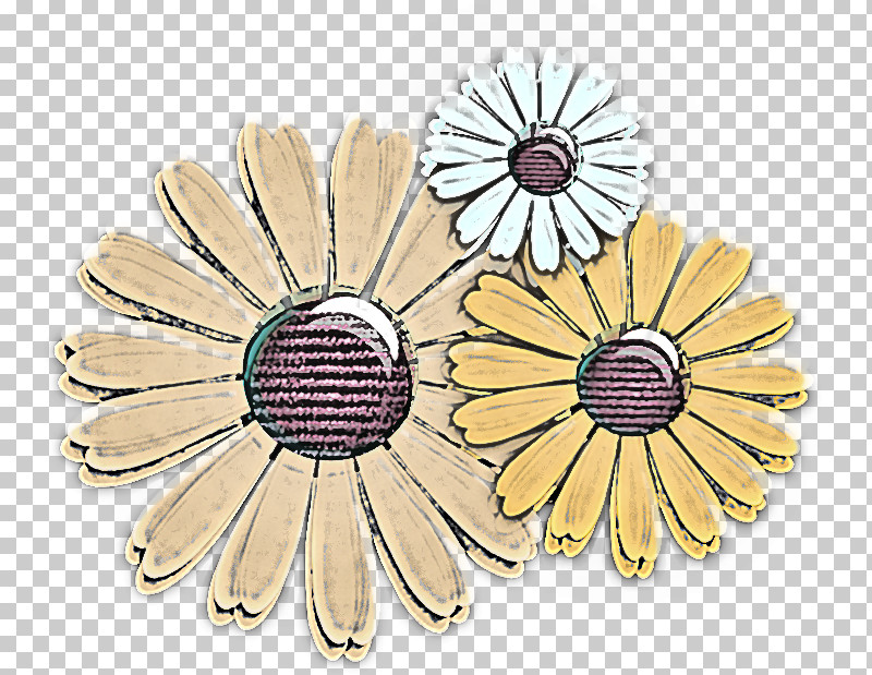 Daisy PNG, Clipart, Brooch, Daisy, Daisy Family, Flower, Gerbera Free PNG Download