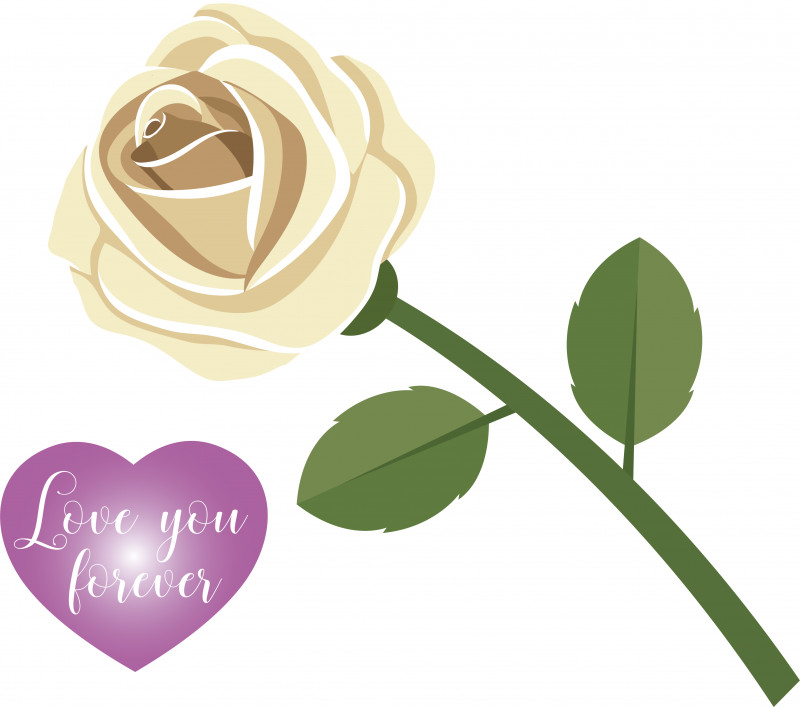 Floral Design PNG, Clipart, Cut Flowers, Floral Design, Flower, Garden, Garden Roses Free PNG Download