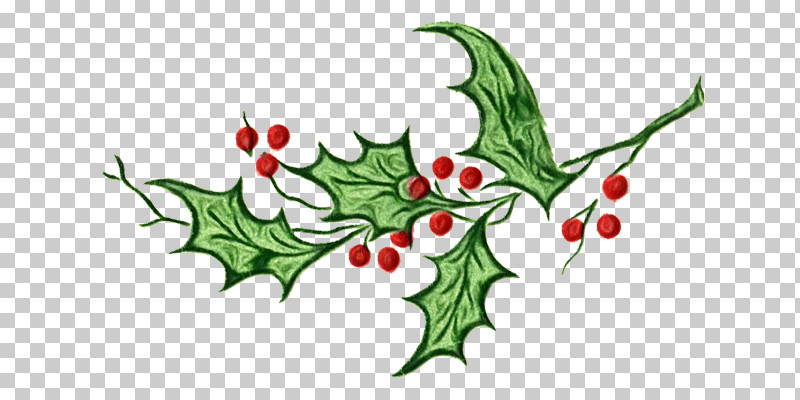 Holly PNG, Clipart, American Holly, Flower, Hawthorn, Holly, Hollyleaf Cherry Free PNG Download
