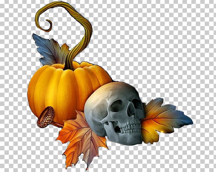 Jack-o'-lantern Halloween Pumpkin Calavera Winter Squash PNG, Clipart,  Free PNG Download