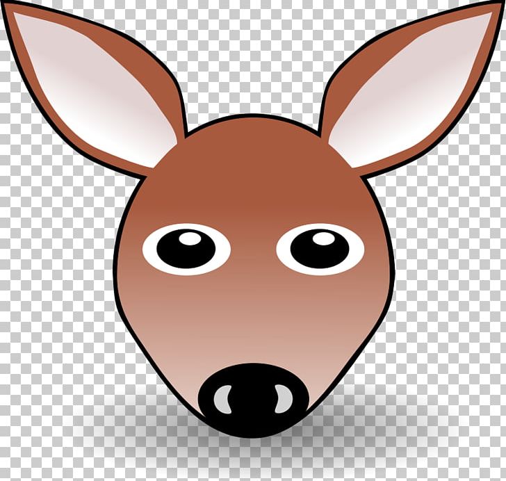 Koala Kangaroo Face PNG, Clipart, Animation, Cartoon, Cartoon Eel, Donkey, Drawing Free PNG Download
