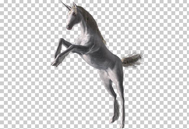 Mustang Stallion Mare Foal Painting PNG, Clipart, Animal, Bit, Bridle, Fictional Character, Foal Free PNG Download