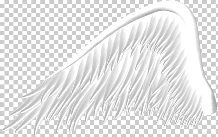 Wing PNG, Clipart, Angel, Angel Wing, Black And White, Clip Art, Document Free PNG Download