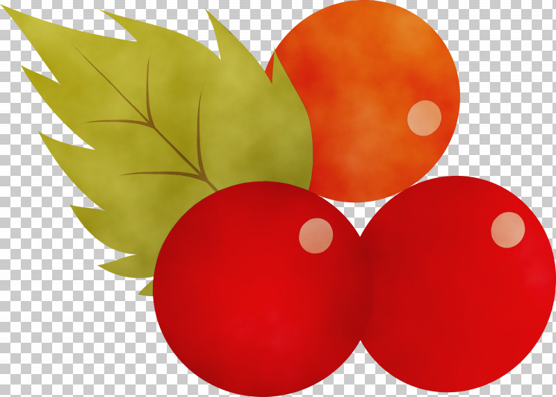 Vegetable Apple PNG, Clipart, Apple, Paint, Vegetable, Watercolor, Wet Ink Free PNG Download