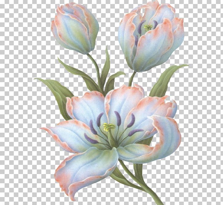 Cut Flowers Tulip Blume Painting PNG, Clipart, Allah, Blume, Coin Tray, Cut Flowers, Flower Free PNG Download