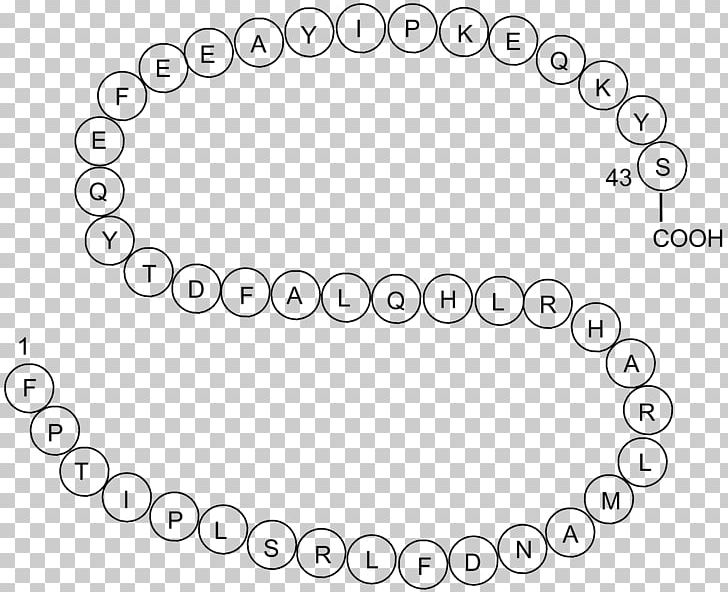 Growth Hormone 1 Peptide Hormone PNG, Clipart, Angle, Area, Auto Part, Black, Line Art Free PNG Download