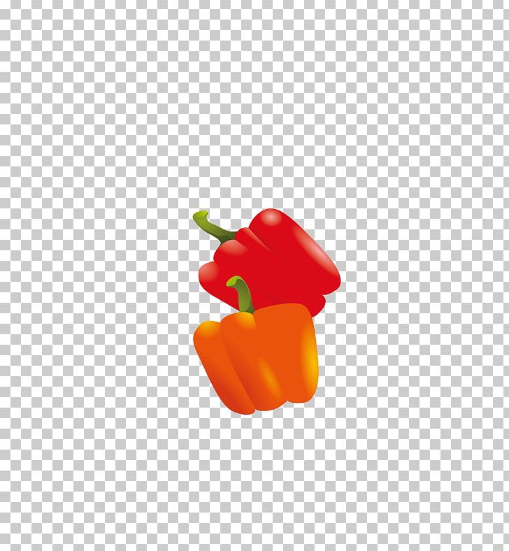 Bell Pepper Chili Pepper Illustration PNG, Clipart, Bell Pepper, Bell Peppers And Chili Peppers, Black Pepper, Chili Pepper, Computer Free PNG Download